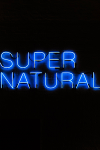 paranormal fiction book