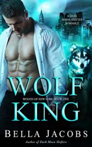 dark contemporary romance books