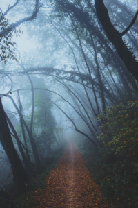 best horror books