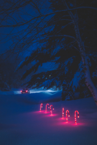 seasonal horror